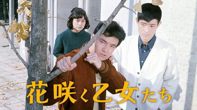 花咲く乙女たち(邦画 / 1965) - 動画配信 | U-NEXT 31日間無料トライアル