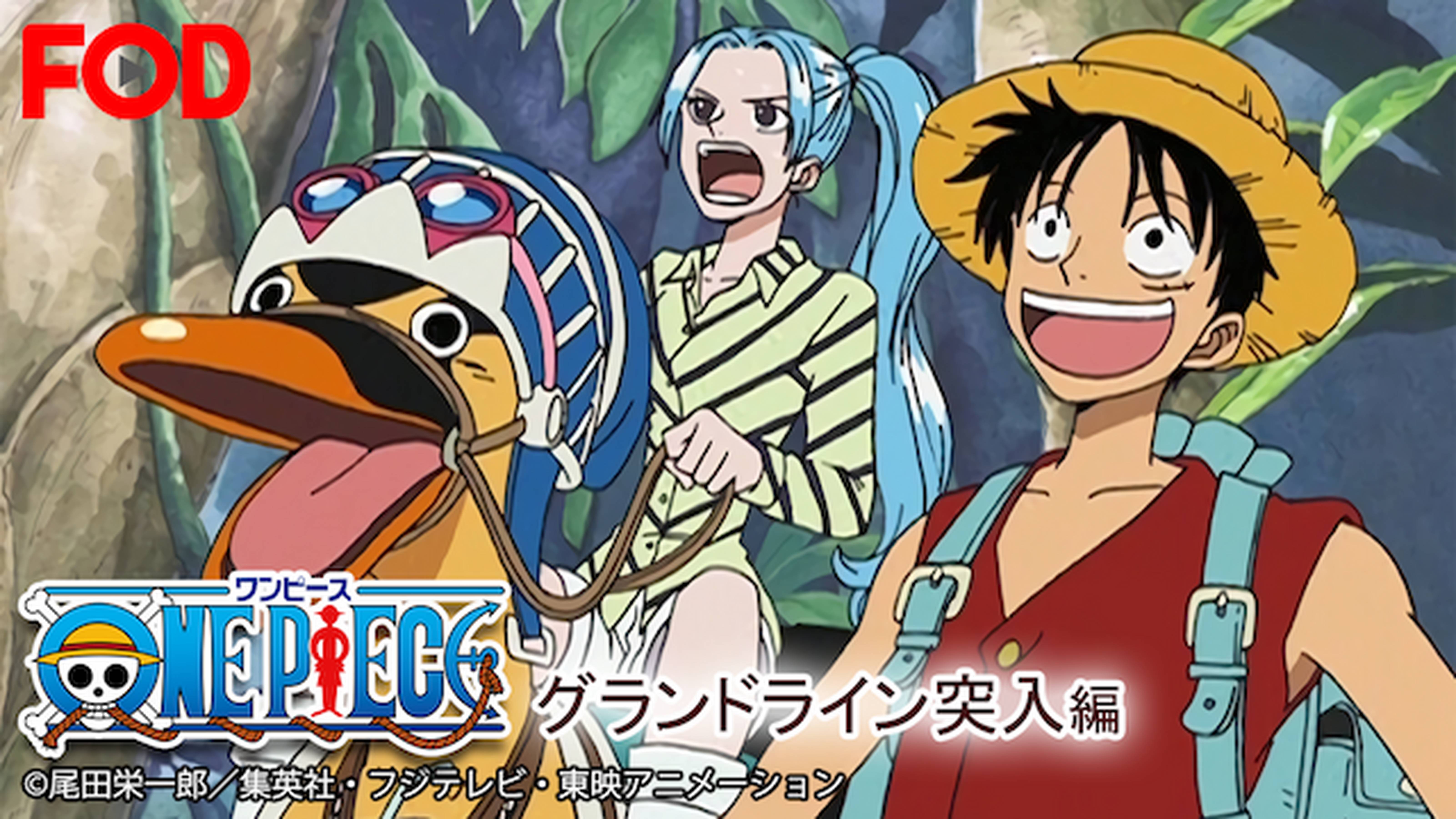 One Piece The Movie オマツリ男爵と秘密の島 アニメ放題 1カ月無料のアニメ見放題サイト