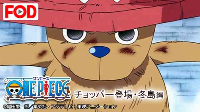 ワンピース チョッパー登場・冬島編
