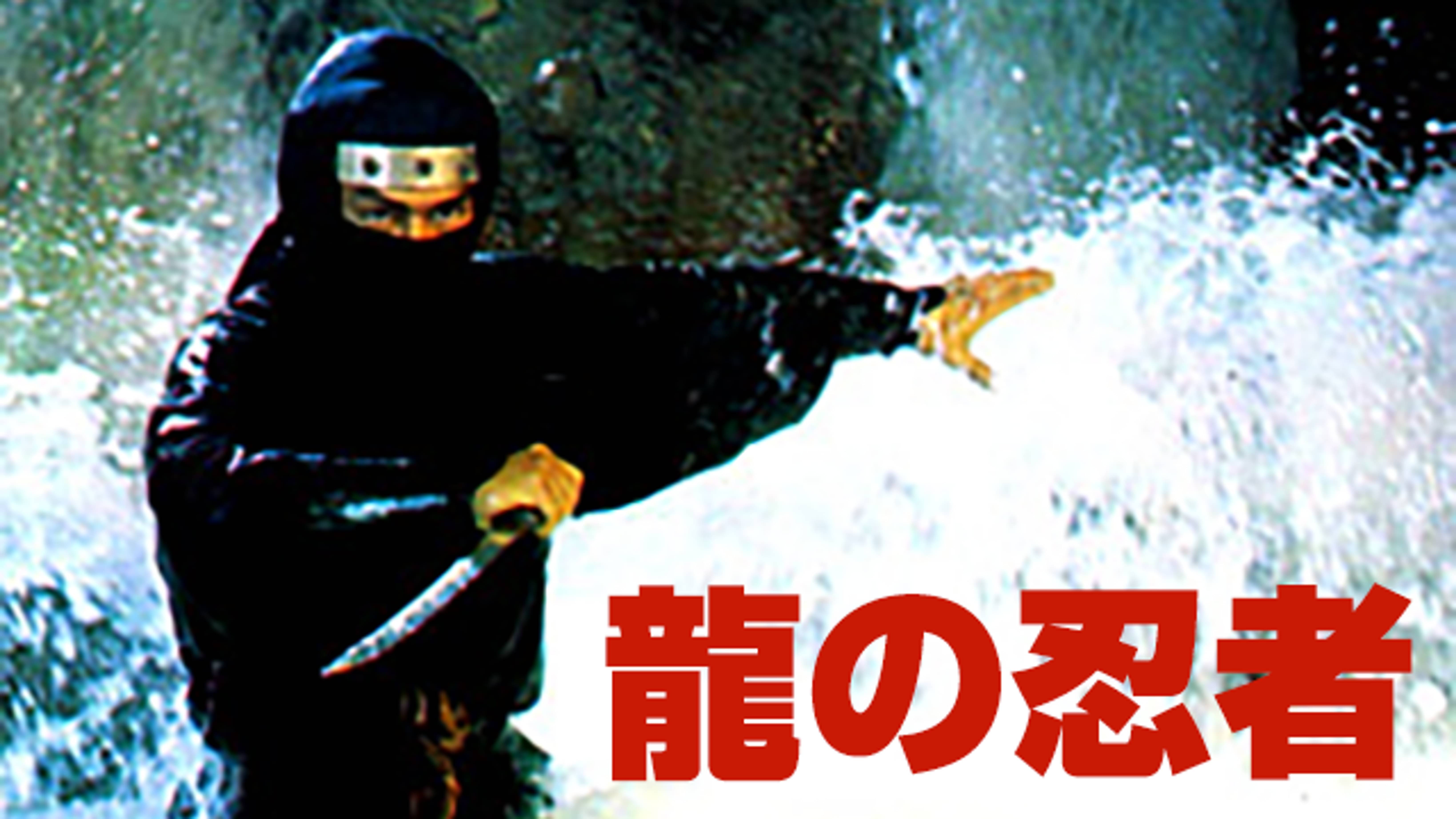 龍の忍者 洋画 19 の動画視聴 U Next 31日間無料トライアル