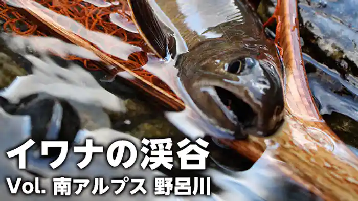 イワナの渓谷Vol.１ 南アルプス 野呂川