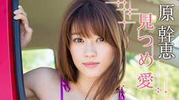 原幹恵「上品お姉さんの誘惑」(書籍) - 電子書籍 | U-NEXT 初回600円分無料