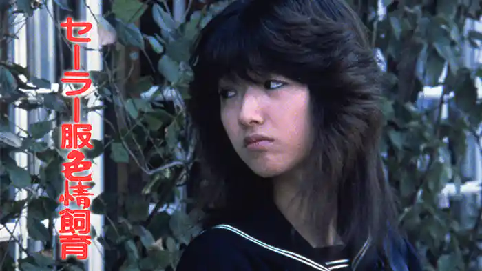 セーラー服色情飼育