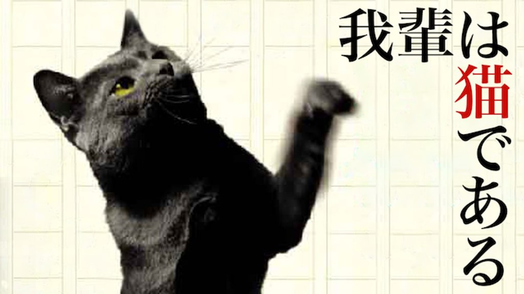 猫先輩 吾輩は猫である(邦画 / 1975) - 動画配信 | U-NEXT 31日間無料