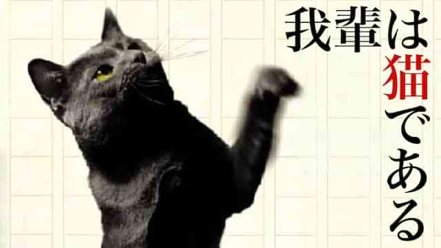 吾輩は猫である