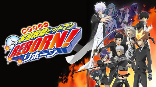 全話配信 アニメ 家庭教師ヒットマンreborn を無料視聴できる動画サイト調査結果 全話配信 アニメ 家庭教師ヒットマンreborn を無料視聴できる動画サイト調査結果