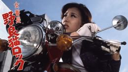 V.マドンナ大戦争(邦画 / 1985) - 動画配信 | U-NEXT 31日間無料トライアル