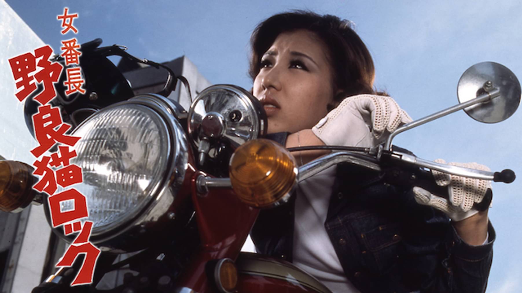 野良猫ロック セックスハンター 邦画 1970 の動画視聴 U Next 31日間無料トライアル