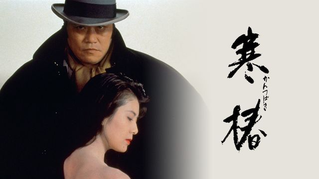 寒椿