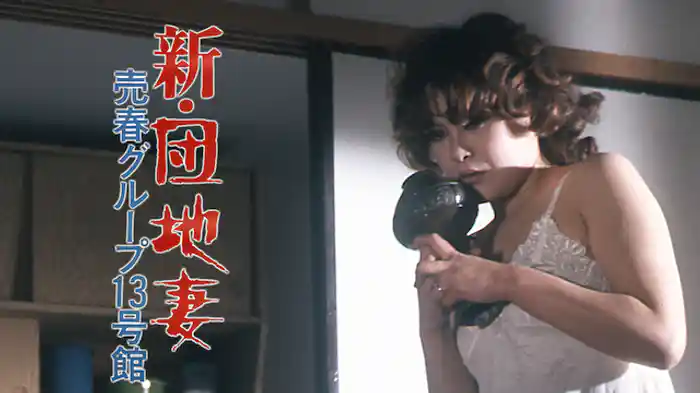 新・団地妻売春グループ13号館
