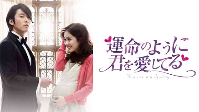 運命のように君を愛してる