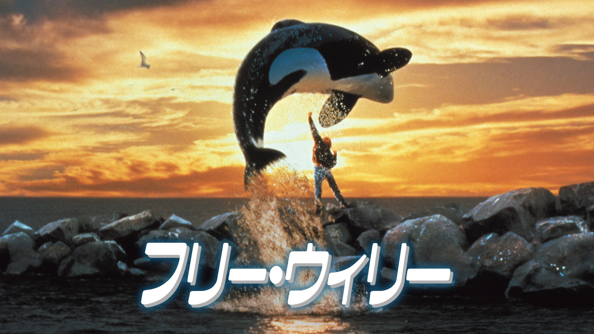 フリー・ウィリー - サムネイル