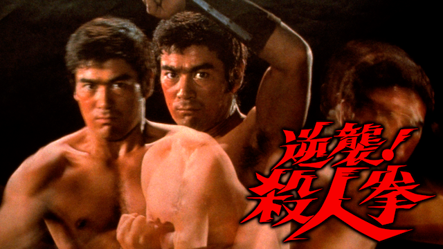 逆襲！殺人拳 - サムネイル
