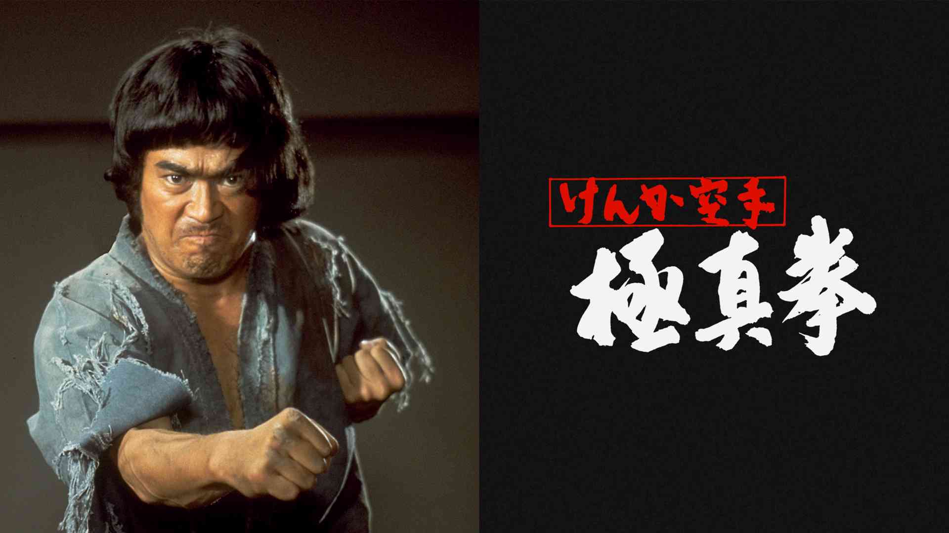 けんか空手 極真拳