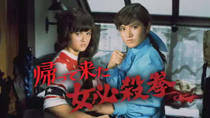 帰って来た女必殺拳