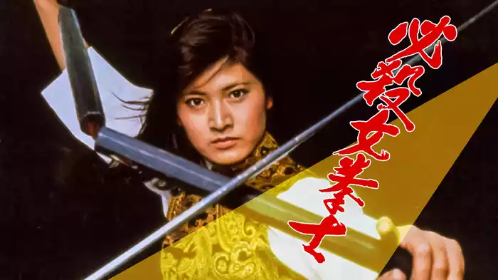必殺女拳士