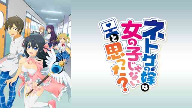 ネトゲの嫁は女の子じゃないと思った？