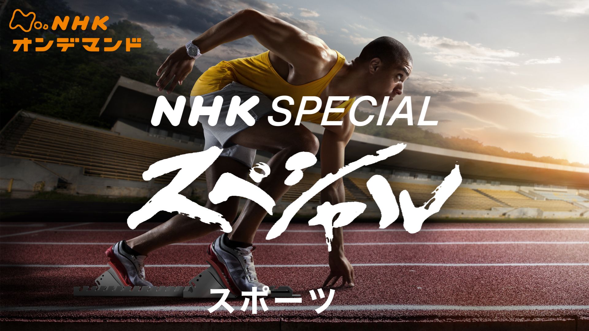 Nスペ スポーツ