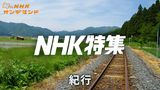 Ｎ特　紀行