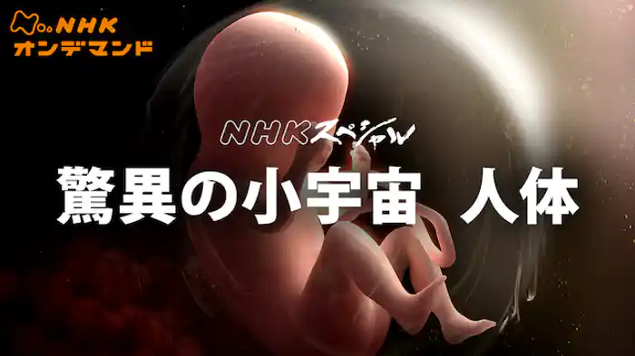 Ｎスペ　驚異の小宇宙　人体３