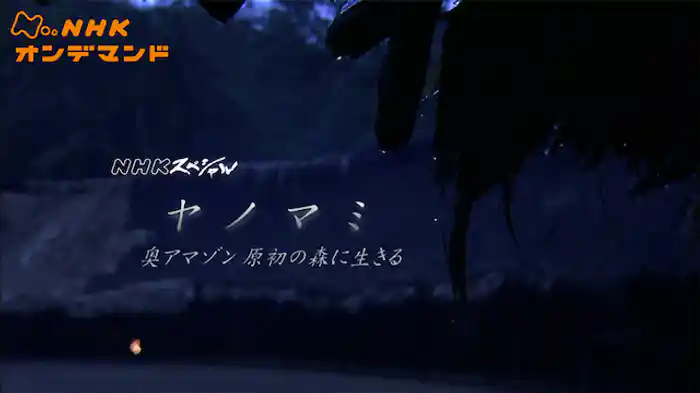 Ｎスペ　ヤノマミ