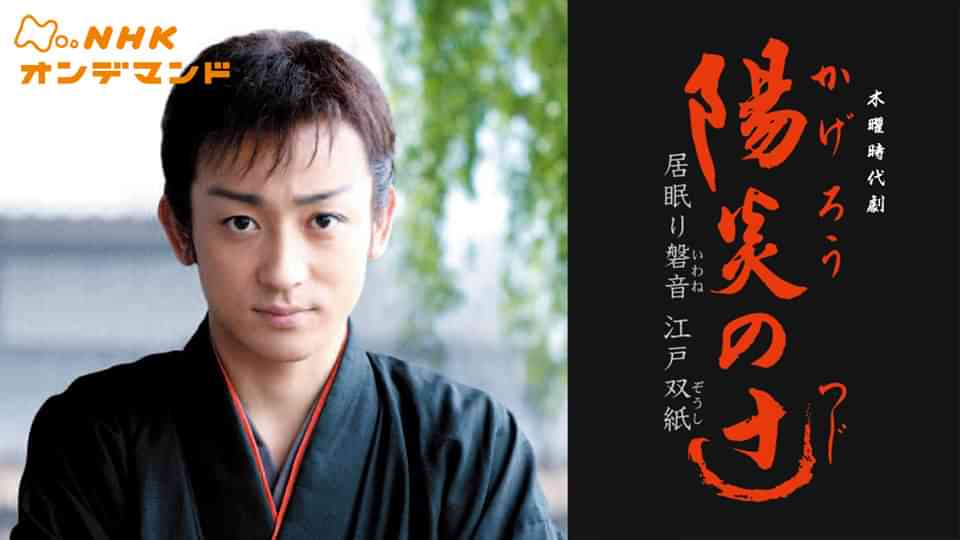 陽炎の辻～居眠り磐音　江戸双紙～