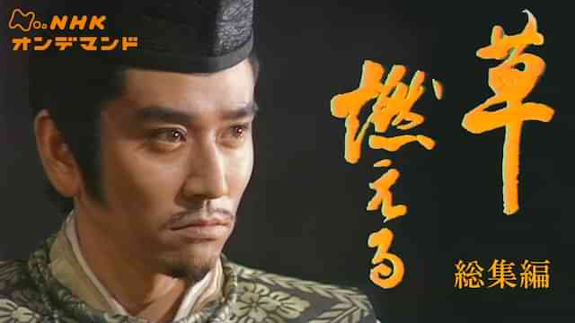 大河ドラマ　草燃える　総集編