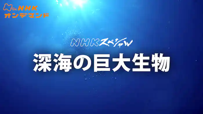 Ｎスペ　深海の巨大生物