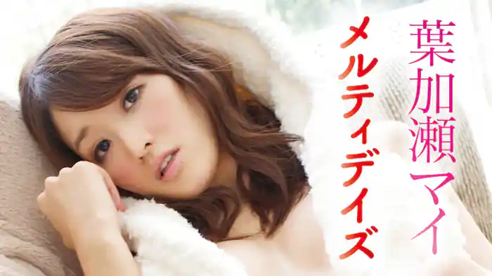 葉加瀬マイ『メルティデイズ』