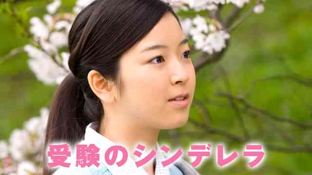 受験のシンデレラ