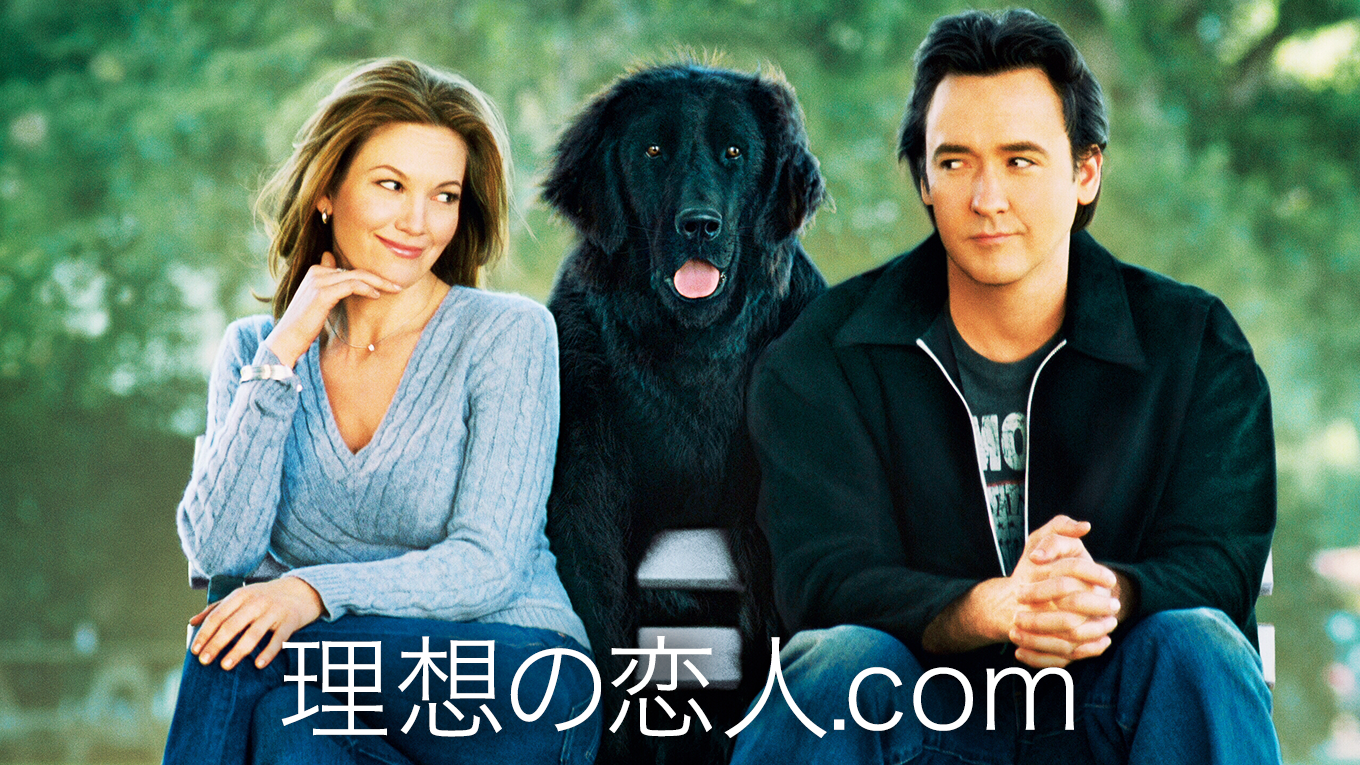 理想の恋人.com - サムネイル