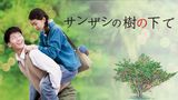 サンザシの樹の下で