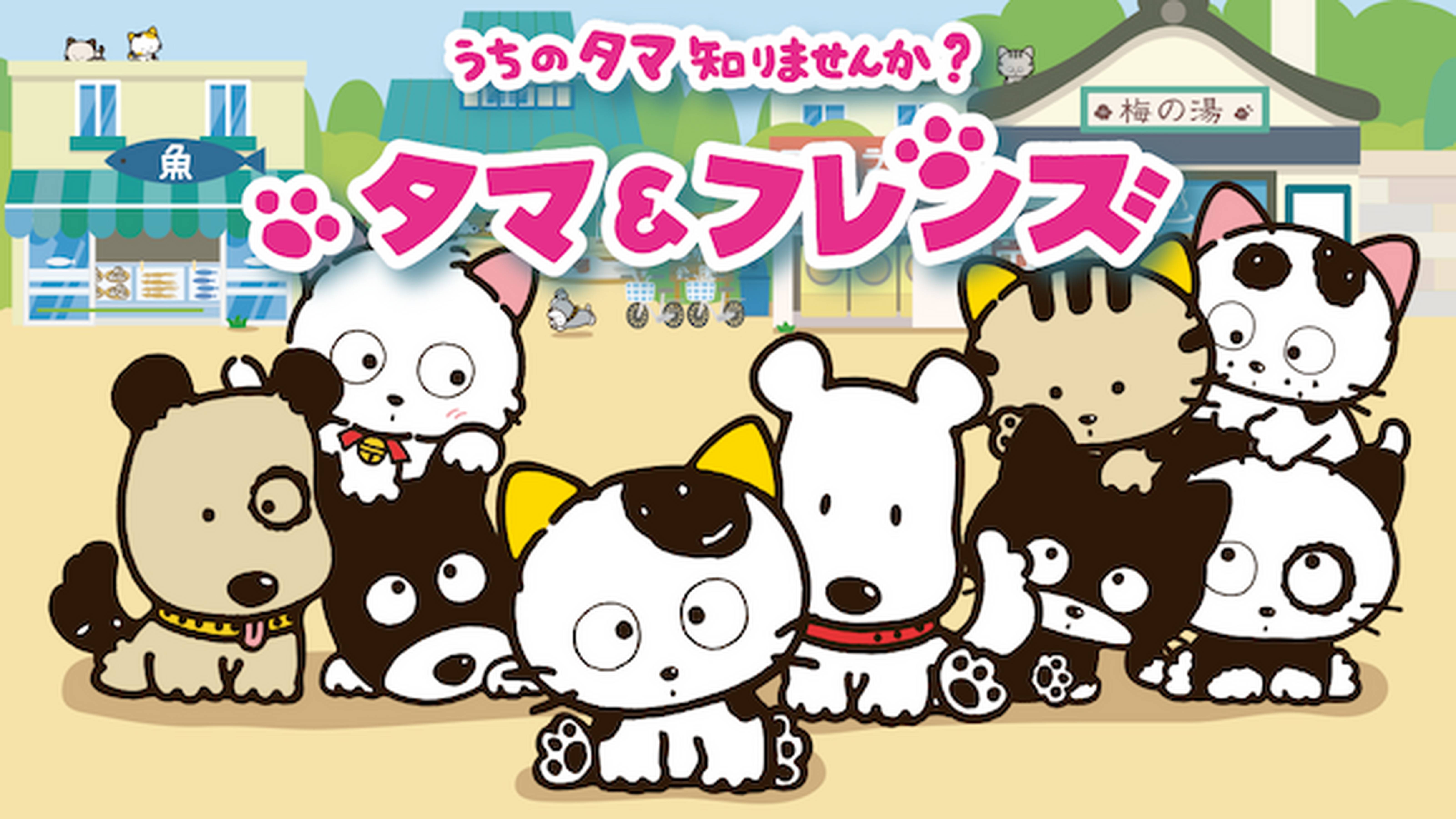 タマ＆フレンズ ～うちのタマ知りませんか？～