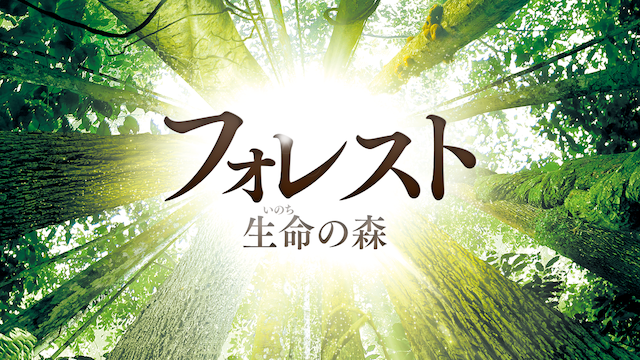 フォレスト　生命（いのち）の森 - サムネイル