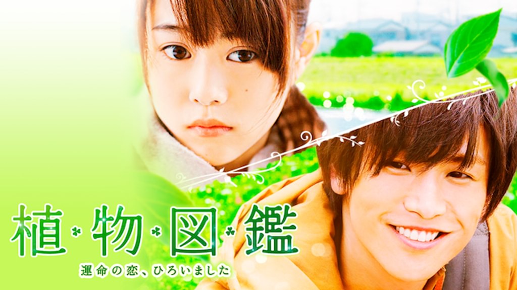 植物図鑑 運命の恋、ひろいました(邦画 / 2015) - 動画配信 | U