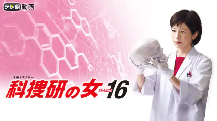 科捜研の女 season16