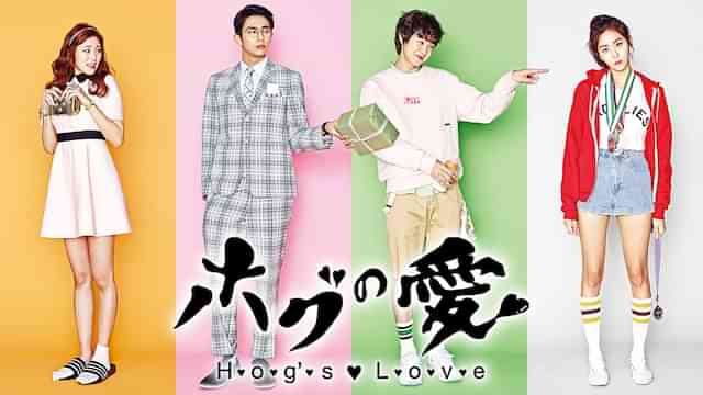 ホグの愛
