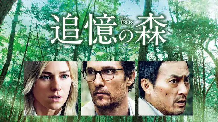 追憶の森
