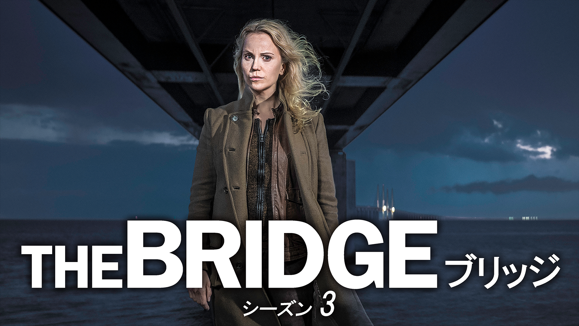 THE BRIDGE／ブリッジ シーズン3