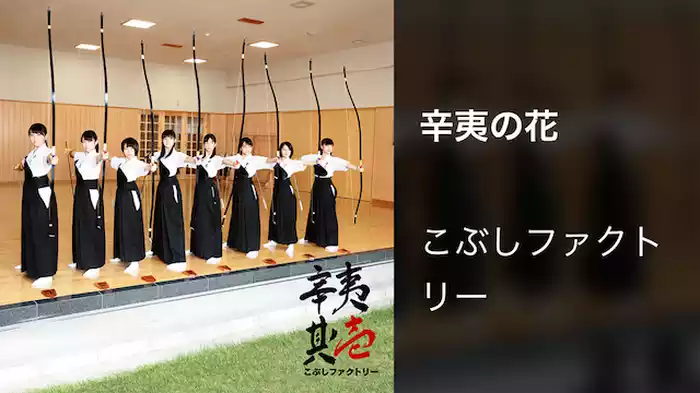 辛夷の花