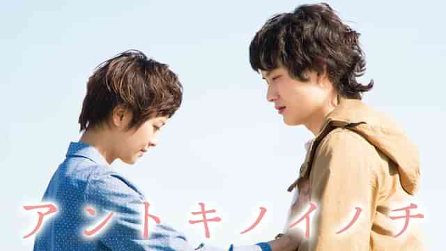 アントキノイノチ