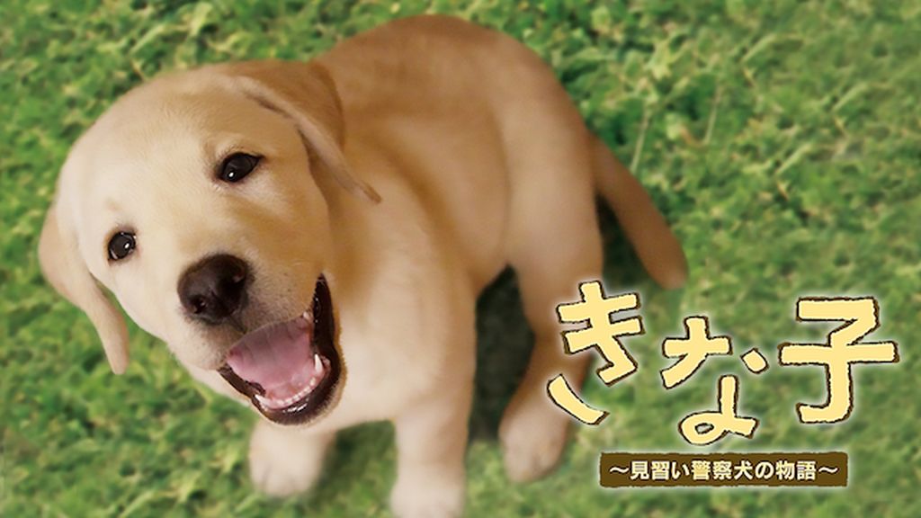 SID0028361.png?f=jpg&q=H&p=W1024