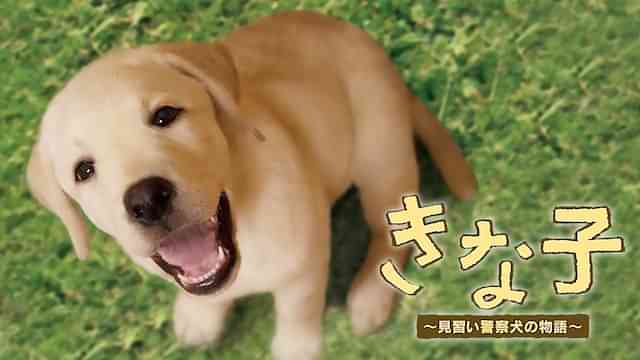 きな子～見習い警察犬の物語～