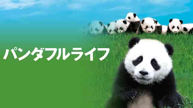 パンダフルライフ