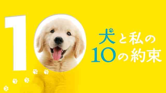 犬と私の10の約束