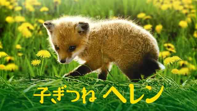子ぎつねヘレン