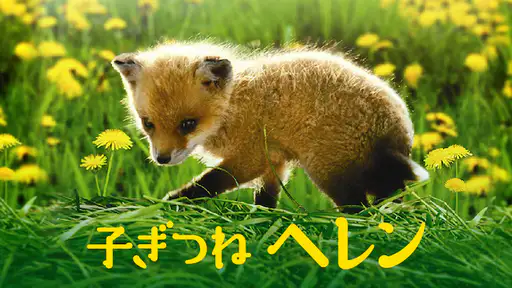 映画 子ぎつねヘレン をフル動画視聴できる無料配信サイト 映画 子ぎつねヘレン をフル動画視聴できる無料配信サイト