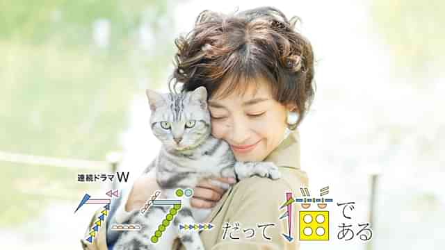グーグーだって猫である