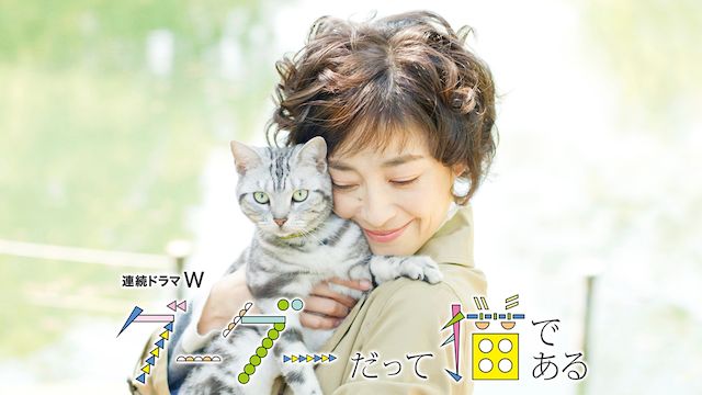 グーグーだって猫である(2014年・ドラマ)