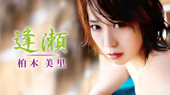 柏木美里 『逢瀬』 